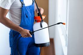 Emergency Pest Control Services in Senath, MO